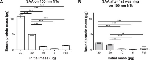 Figure 9 Dose-dependent binding of SAA to 100 nm NTs and foil using BCA protein assay.Notes: (A) SAA protein bound to 100 nm NTs. (B) SAA protein bound following the first washing of the protein indicating the pocket effect. Two-way analysis of variance and Bonferroni posttests were used to determine significance: ***P<0.001, **P<0.01. The bars represent the average of three independent experiments performed.Abbreviations: NTs, nanotubes; SAA, serum amyloid A.