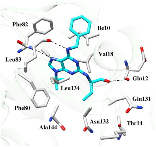 Figure 6. Binding pose of the reference drug roscovitine within the active site of CDK2 protein. The dashed black line depicts hydrogen bond interaction.