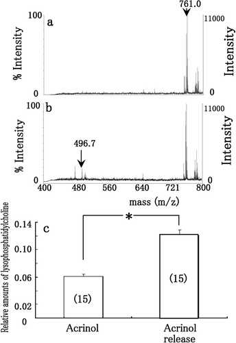 Figure 4.  MALDI-TOF MS spectra of phosphatidylcholine and lysophosphatidylcholine when phosphatidylcholine was incubated with the esterase on membrane (arrow in 3d) treated with 0.1 mM acrinol (a), and washed by aspartic acid solution (b) after separation by non-denaturing 2-DE and electroblotting onto membrane. The relative amounts of lysophosphatidylcholine (m/z = 496.7) (c) when pure phosphatidylcholine was applied to esterase on membrane treated with 0.1 mM acrinol (acrinol in c), and washed by aspartic acid solution (acrinol release in c) after separation by non-denaturing 2-DE and electroblotting onto membrane. Each datum indicates mean standard error obtained from 15 individual measurements (number of measurements in c).