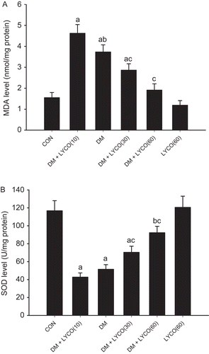 Figure 2.  Effect of different doses of lycopene on malondialdehyde (MDA) content (A) and superoxidase dismutase (SOD) activity (B) in aorta. All data are mean ± SEM; n = 6 rats in all groups. (A) aP < 0.01 versus control (CON) group, bP < 0.05 versus diabetic mellitus (DM) group, and cP < 0.01 versus DM group. (B) aP < 0.01 versus CON group, bP < 0.05 versus CON group, and cP < 0.01 versus DM group.