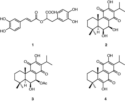 Figure 1. Structures of the main compounds isolated from P. madagascariensis MeOH extract.