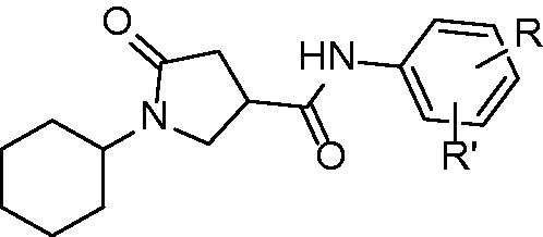 Figure 11. General structure of pyrrolidne carboxamide InhA inhibitors.