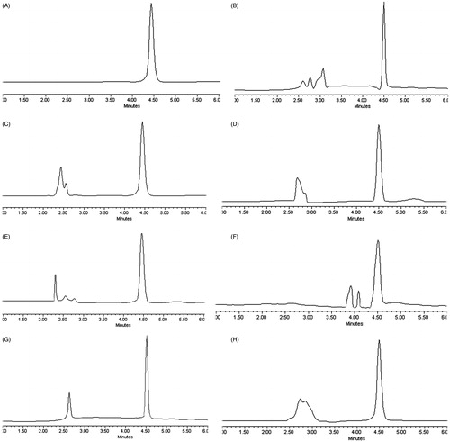 Figure 1. HPLC chromatograms of DOX in different samples. (A) DOX solution; (B) DOX in plasma sample; (C) DOX in heart sample; (D) DOX in liver sample; (E) DOX in spleen sample; (F) DOX in lung sample; (G) DOX in kidney sample; (H) DOX in tumor sample.