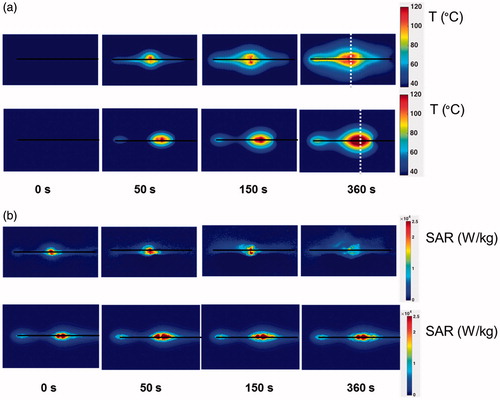 Figure 5. (a) Experimental (top) and simulated (bottom) temperature profiles during the course of an ablation experiment using the long-tip applicator. (b) Experimental (top) and simulated (bottom) SAR spatial profiles during the course of an ablation experiment using the long-tip applicator. Black lines indicate antenna position. White dotted lines in (a) at t = 360 s mark the position where the temperature profile is plotted in Figure 7.