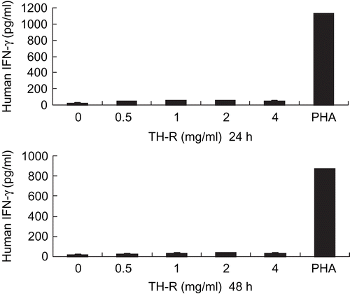 Figure 4.  TH-R had an aggregation effect on peripheral blood lymphocytes, but no effect on stimulating peripheral lymphocytes to produce human interferon-γ (IFN-γ).