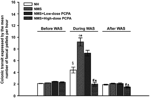 Figure 2.  Effects of WAS and PCPA on colon motility in normal handled (NH) and NMS rats (n = 5 in all groups except n = 4 in NMS+low-dose PCPA+WAS group). Colon motility was assessed by the mean faecal pellet output per hour before, during and 24 h after WAS. Data are presented as mean ± S.E.M. §P < 0.001 vs. NH group, †P < 0.001 vs. NMS group, *P < 0.001 vs. NH+WAS group (t-tests); #P < 0.001 vs. NMS+WAS group, ▴P < 0.001 vs. NMS+low-dose PCPA+WAS group (Bonferroni's correction).