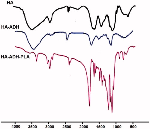Figure 2. Infrared spectra of HA, HA–ADH and HA–ADH–PLA.