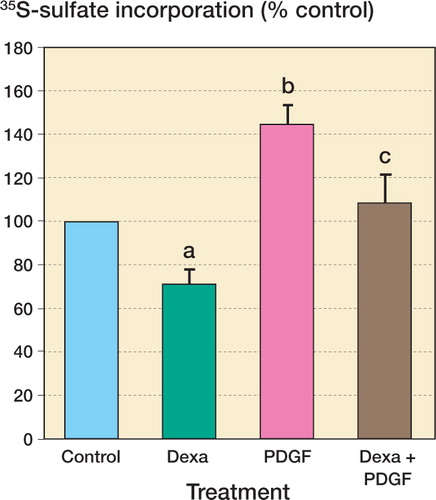 Figure 2. The effect of dexamethasone on proteoglycan synthesis by human tenocytes and reversibility of the effect by PDGFBB.The results represent 35S-sulfate incorporation with DMEM alone (DMEM), treatment with 1 μM dexamethasone (Dexa), with 10 ng/mL PDGFBB (PDGF), and co-incubation with 1 μM dexamethasone and 10 ng/mL PDGFBB (Dexa+PDGF).Values represent mean (SE) percentage of control 35S-sulfate incorporation (10 subjects, with 3 replicates per subject). a p = 0.01 and b p = 0.01 compared with control. c p = 0.01 compared with 1 μM dexamethasone treatment, 2-tailed Wilcoxon signed-ranks test.