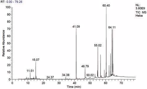 Figure 1. GC-MS chromatogram of n-hexane extract of A. fraxinifolius leaves.
