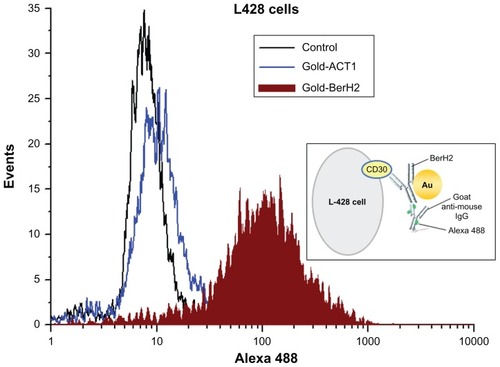 Figure 2 Flow cytometry detection of the binding specificity of different gold nanoparticle–antibody conjugates.Note: The inset box shows the conceptual diagram of L-428 cells stained with gold-BerH2 conjugates and aM-A488.Abbreviation: Ig, immunoglobulin.