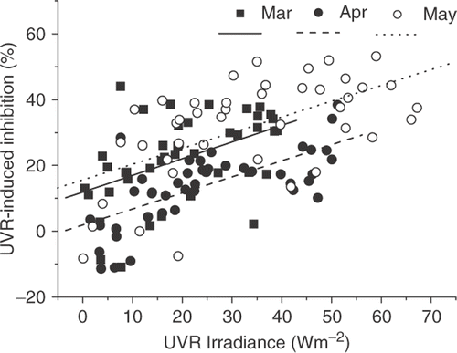 Fig. 5. UVR-induced photosynthetic inhibition (from early morning to late afternoon) in relation to UVR irradiance in March, April (including September 29, 2006, simulated conditions for the cloudy day, April 24, 2004) and May, 2004. The lines represent a linear fit of the data (p<0.001).