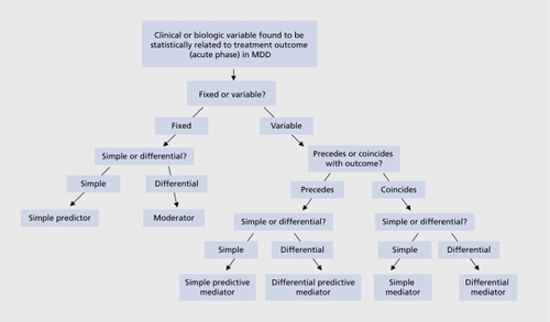 Figure 1. Schematic depiction of definitions. MDD, major depressive disorder