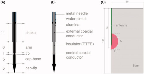 Figure 1 (A) Geometry and dimensions of 14 G MW antenna. (B) Materials making up the antenna. C: Geometry of the computer model and a scheme of the CZ measures: A represents the axial diameter and B the middle of the transverse diameter. Dimensions in mm and schemes out of scale.