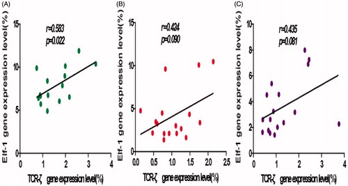 Figure 4. Correlation analyses for TCRζ and Elf-1 expression levels. (A) HC, (B) PE, and (C) PT groups. A significant positive correlation was found in the HC group; non-significant positive correlations were found for the PE and PT groups.