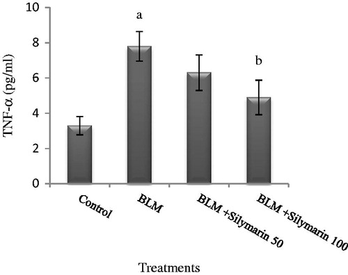 Figure 2. Effects of silymarin in serum tumor necrosis factor-alpha (TNF-α) level in animal exposed to bleomycin. BLM, bleomycin. Results are mean ± SD for 7 mice/group. ap < 0.05 versus control group. bp < 0.05 versus BLM group.