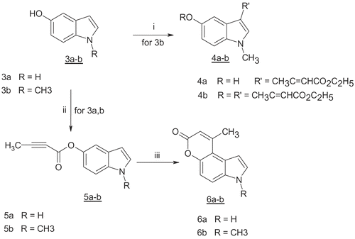 Scheme 1.  Reagents: (i) ethyl acetoacetate (1 mol for 4a, excess for 4b); Indium(III)chloride; reflux 2h;(ii) but-2-ynoic acid; DCC; DMAP; CH2Cl2 /DMF (10:1); r.t. 2h; (iii) PtCl4; 1,4-dioxane/1,2-dichloroethane (1:1); reflux 4h.