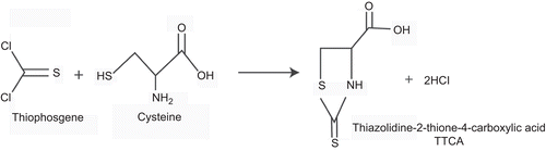 Figure 2.  Reactions of folpet and thiophosgene with cysteine, a representative thiol, producing the urinary metabolite TTCA.