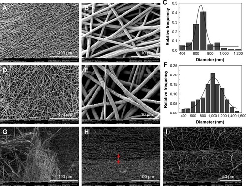 Figure 1 Nanofiber morphology and diameter distribution of fabricated nanofibrous scaffolds.Notes: Representative SEM images of SLS (A, B), FLS (D, E), and DLS (G–I). The surface morphologies were observed and photographed at 1,000× (A, D, G) and 10,000× (B, E). The fracture surface morphologies were observed and photographed at 1,000× (H) and 3,000× (I). Diameter distribution histogram of SLS (C) and FLS (F) nanofibrous scaffolds.Abbreviations: DLS, double layer nanofibrous scaffolds; FLS, first layer of scaffolds; SEM, scanning electron microscopy; SLS, second layer of scaffolds.