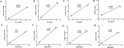 Figure 4. The correlation between the Th17-related mRNA and different miRNAs expression in the murine spleen.The correlation of the gene expressions of IL-17 and miR-146a (A), miR-155 (B), miR-21 (C), miR-9 (D), and the correlation of the gene expressions of RORγt and miR-146a (E), miR-155 (F), miR-21 (G) and miR-9 (H) in the murine spleen of high dose of L. acidophilus group (dots on the left side) compared to allergy group (dots on the right side). A value of P < 0.05 was considered significantly correlation.