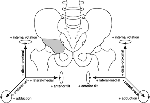 Figure 3. Axes of rotation and translation of the acetabular fragment.