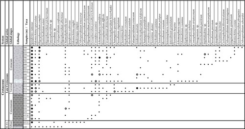 Figure 2. Stratigraphic ranges of selected important dinocysts. Legend 1–3% Display full size 4–6% Display full size 7–10% Display full size.
