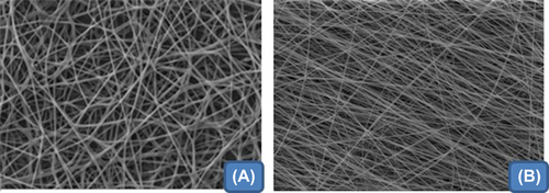 Figure 1. SEM images of plain composite nanofiber (A) and drug-loaded nanofiber (B).