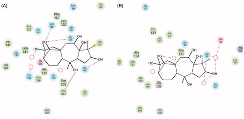 Figure 4. Ligand interaction diagrams for (A) hCA I and (B) hCA II. Residues are labeled and colored according to residue type (green, hydrophobic; cyan, polar; red, negative; purple, positive). Yellow markers on the ligand denote per-atom solvent accessible surface area and marker size shows the amount of exposure. Labeling of residue (font sizes) is used to represent the depth of a residue in the three dimensional view (i.e. “closer” to the viewer are shown in a large font, whereas, residues that are “far away” are shown with small font. While hydrogen bonds to side chains are represented with dashed, hydrogen bonds to backbones are represented as solid lines.
