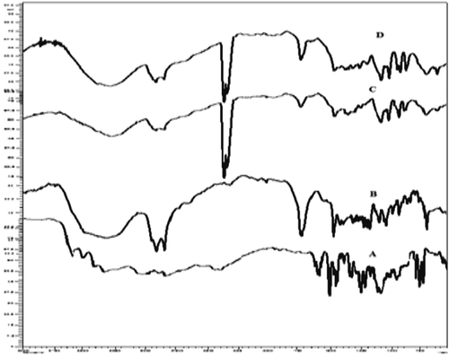 Figure 1. FT-IR spectra of (A) CAR, (B) GMS, (C) placebo, and (D) NLCs.