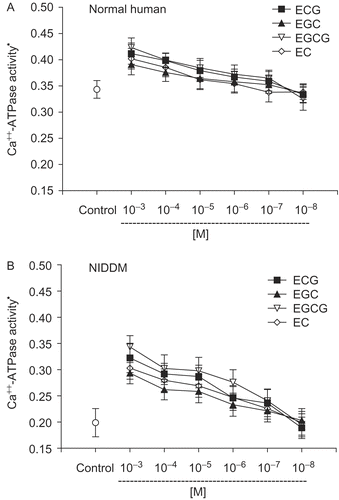 Figure 2.  Concentration-dependent effect of tea catechins on erythrocyte membrane Ca++-ATPase activity. (A) Normal human: EGCG, EGC show significant (p <0.01) activation of Ca2+ ATPase at 10−5 M concentration. ECG and EC show significant activation only at 10−3 and 10−4 M. (B) Type 2 diabetic patients: EGCG, EGC, ECG, EC show significant activation of Ca2+ ATPase at 10−3 – 10−5 M concentration. *Ca++ ATPase activity is expressed as μmol of Pi released /h/mg membrane protein at 37°C. Values are mean ± SD.