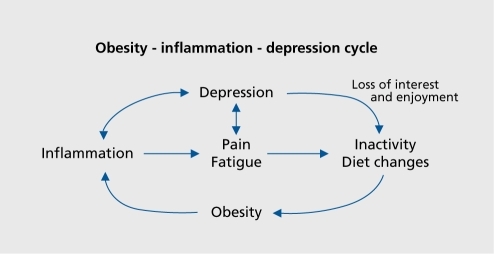 Figure 1. The obesity-inflammation-depression cycle