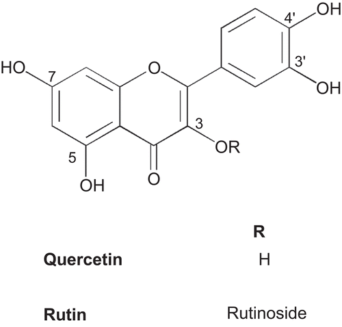 Figure 4.  Flavonol (quercetin) and its glycoside (rutin).