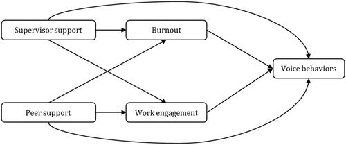 Figure 1. Conceptual model on the associations between supervisor and peer support, burnout and work engagement, and voice behaviors.