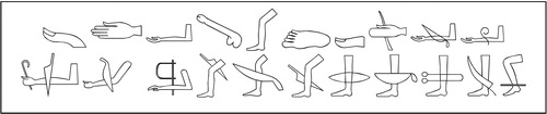 Figure 6. A selection of hieroglyphs which may be confused with amputations.