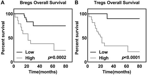 Figure 2. Kaplan–Meier survival curves for cervical cancer patients according to (A) Bregs (p = 0.0002) and (B) Tregs (p = 0.0003) expression in tumour lesions. Survival curves were plotted by the Kaplan–Meier method and compared using the log-rank test.