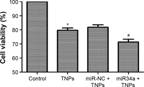 Figure 11 Effect of overexpressed miR34a on TNP-induced cell death.Notes: After cells were transfected by lentivirus vectors, TNP of 25 μg/mL was added and incubated with cells for 24 hours. MTT assay was performed to measure the viability of cells. Data showed that overexpression of miR34a accelerated the TNP-induced cell death, leading to a lower viability of cells in miR34a + TNPs group. *P<0.05, TNPs compared with Control, #P<0.05, miR34a + TNPs compared with miR-NC + TNPs. Data are expressed as mean ± SD; n=3.Abbreviations: MTT, 3-(4,5-dimethyl-2-thiazolyl)-2,5-diphenyl-2-H-tetrazolium bromide; miR34a, microRNA 34a; SD, standard deviation; miR-NC, microRNA negative control; TNPs, titanium dioxide nanoparticles.