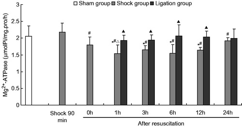 Figure 4. Effect of mesenteric lymph duct ligation on the Mg2+–ATPase activity in the renal tissue of hemorrhagic shock rats (mean ±  SD, n = 6). *p < 0.05 versus the sham group; #p < 0.05 versus the shock at 90 min; △p < 0.05 versus the shock group after resuscitation 0 h; ▴p < 0.05 versus the shock group at same time points.