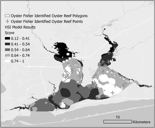 Figure 6. Oyster fisher identified oyster reef areas overlaid on the PBS HSI. Eighty-seven percent of independently verified oyster reef areas fall within HSI areas rated with medium to high suitability (i.e., scores of 0.55 or greater).
