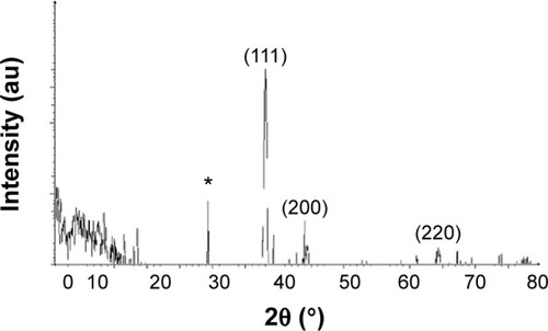 Figure 2 X-ray diffraction pattern of the silver nanoparticles.Notes: Silver nanoparticles were synthesized from 1 mM silver nitrate-treated Bacillus funiculus cells at 37°C. The samples were harvested at 24 hours, sonicated, and air dried, and the X-ray diffraction pattern was observed. *Indicates the nonspecific peaks due to residues from culture supernatant.Abbreviation: au, arbitrary unit.