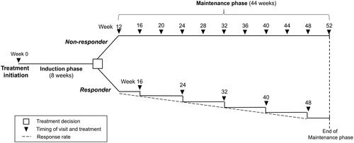 Figure 1. Model schematic.This schematic represents treatment with advanced therapies as 8-week induction and 44-week maintenance phases. Duration of induction and maintenance phases varies according to differing specifications for each advanced therapy in the model (Table 1). Patients classified as non-responders were switched to either of the alternative treatment scenarios (i) 5-biologics-basket (weighted average of infliximab, adalimumab, vedolizumab, ustekinumab, and golimumab) or (ii) no treatment. Non-responder frequency of visits was once per month. Response rate was stable until the end of the maintenance phase (formula applied: 1-clinical response rate). Patients in the responder population, continued the advanced therapies they received in the induction phase once per two months. Clinical response was reduced in the same proportion every month.