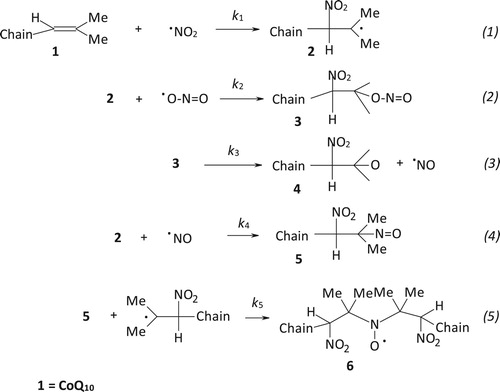 Scheme 2. Sequence of reactions responsible for nitroxide 6 formation.