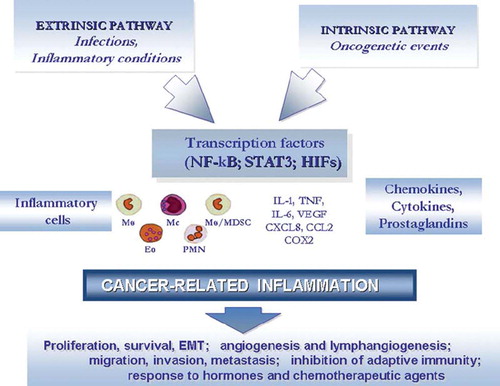 Figure 1. Pathways linking inflammation and cancer.