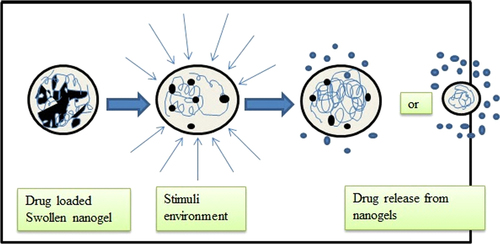 Figure 3. Pattern of drug release from nanogels.