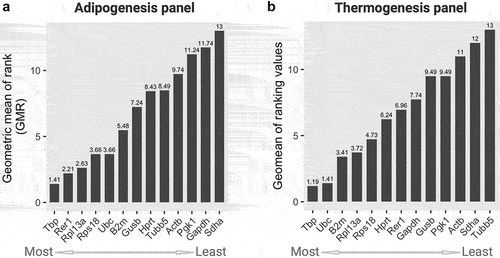 Figure 3. Geometric mean of rankings (GMR) from all four algorithms scores of 13 candidate housekeeping genes in the (a) adipogenesis and (b) thermogenesis panel. The GMR values were calculated by the Refinder algorithm using the original ct values of each gene as input, considering all experimental designs. Lower (left) and higher (right) scores indicate more and less stable genes, respectively.