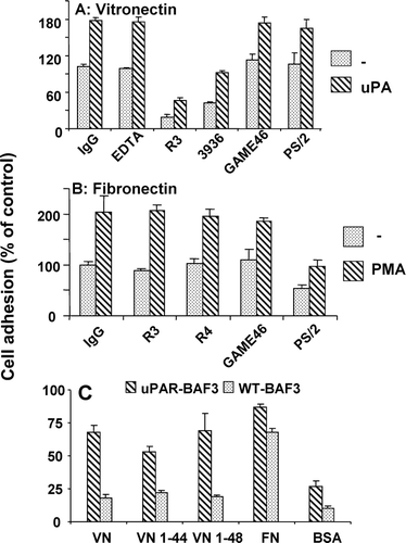 Figure 9 Characteristics of the adhesion of uPAR-BAF3 cells on VN and FN. Cells were allowed to adhere on (a) VN (2μ g/mL) or (b) FN (10 μ g/mL) in the presence of control IgG (20 μ g/mL), the anti-uPAR mAb 3936, R3 or R4 (each at 20 μ g/mL), anti-VLA4/ α4β1 integrin mAb PS/2 at 20 μ g/mL), anti-β2 integrin mAb Game 46 (15 μ g/mL), or EDTA (10 mM). In (a) experiments were performed in the absence (dotted bars) or presence (hatched bars) of 50-nM uPA and in (b) in the absence (dotted bars) or presence (hatched bars) of 50-ng/mL PMA. (c) Adhesion of cells on VN, FN, VN 1–44 (RGD–), VN 1–48 (RGD+) and BSA was performed as described above. Cell adhesion is expressed as absorbance at 590 nm (mean ± SEM, n = 3).