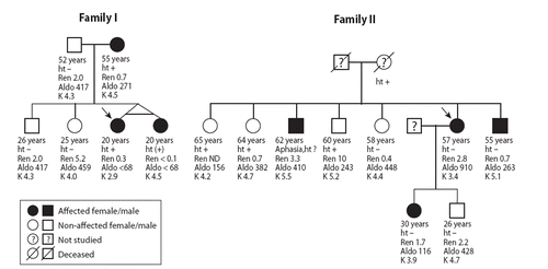 Figure 2. The pedigrees of the two families with the αENaC G insertion mutation. The probands are shown by arrow (the probands of Families I and II are the Subjects 1 and 2 of Table II, respectively). The ages are given as recorded at the time of the present study (ht+ = treatment-requiring hypertension; ht− = no hypertension; ht(+) = elevated blood pressure without antihypertensive treatment; ? = blood pressure status unknown; ND = not determined; Ren = plasma renin, μg/L/h; Aldo = serum aldosterone, pmol/L; K = potassium, mmol/L).