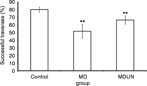 Figure 5.  Memory of a learned route through the modified complex maze (Experiment A). Mean percentage of correct door openings (traverses) by the control, MD and MD followed by juvenile-onset uncontrollable chronic stress (MDUN) groups in the modified complex maze. Data for the five trials conducted during the test phase of the experiment are given. Asterisks (**) indicate that the MD and MDUN groups differ from the control group, p < 0.01.