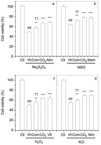 Figure 4.  Neuroprotective activities of atractylenolide I, II, III, levistolid A, ferulic acid and pachymic acid combination on PC12 cells I/R-like insults. Values are means ± SD of three different experiments. The A570/650 in control was 0.64 ± 0.02. I/R, ischemia-reperfusion; Ctl, Control; Vh, vehicle; Com, Combination; CO2, FBD-CO2; VE, Vitamin E; ##p < 0.01 vs the control (Ctl); **p<0.01, ***p < 0.001 vs the vehicle (Vh)-treated cells; ††p < 0.01 vs the FBD-CO2-treated cells.
