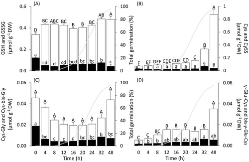 Figure 3. Concentrations of LMW thiols and corresponding disulphides during germination and early seedling growth of Triticum aestivum. The abscissa shows the time after the onset of imbibition, and time 0 indicates dry seeds. (A) GSH and GSSG; (B) Cys and CySS; (C) Cys-Gly and Cys-bis-Gly; (D) γ-Glu-Cys and bis-γ-Glu-Cys. Data are means ± SE for the four LMW thiols (white bars) and corresponding disulphides (black bars). Data labelled with the same letters do not differ significantly (one-way ANOVA analyses followed by post-hoc Tukey's HSD test, p-value ≤.05). For ease of comparison, germination curve is indicated by the grey line.