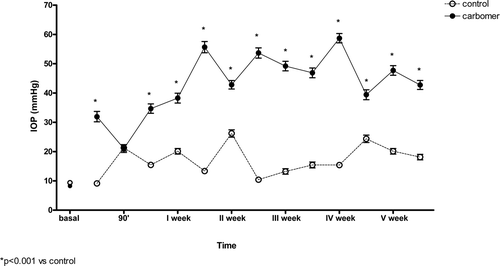 Figure 1.  Effects of carbomer injection on intraocular pressure (IOP) in a 4 week time course in New Zealand rabbits.
