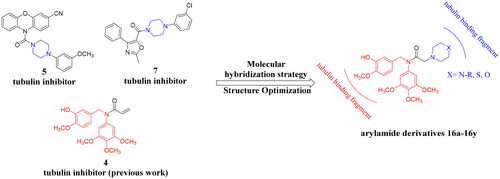 Figure 3. Design strategy of arylamide derivatives as inhibitors of tubulin polymerisation.
